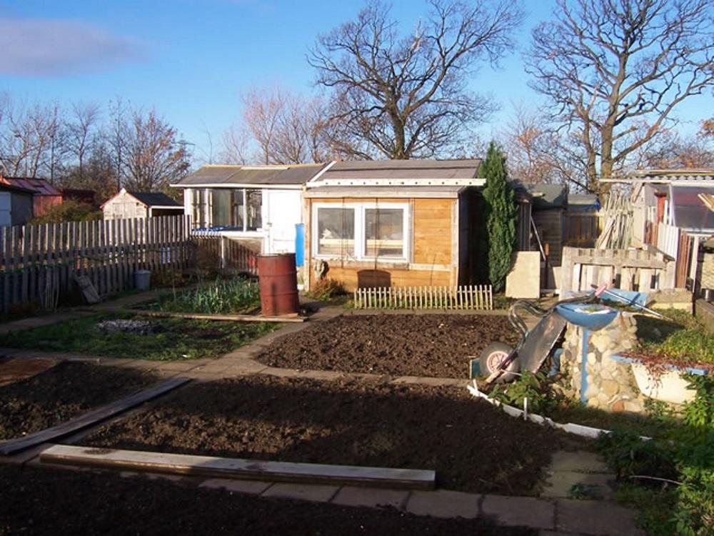 A well-tended allotment plot in summer