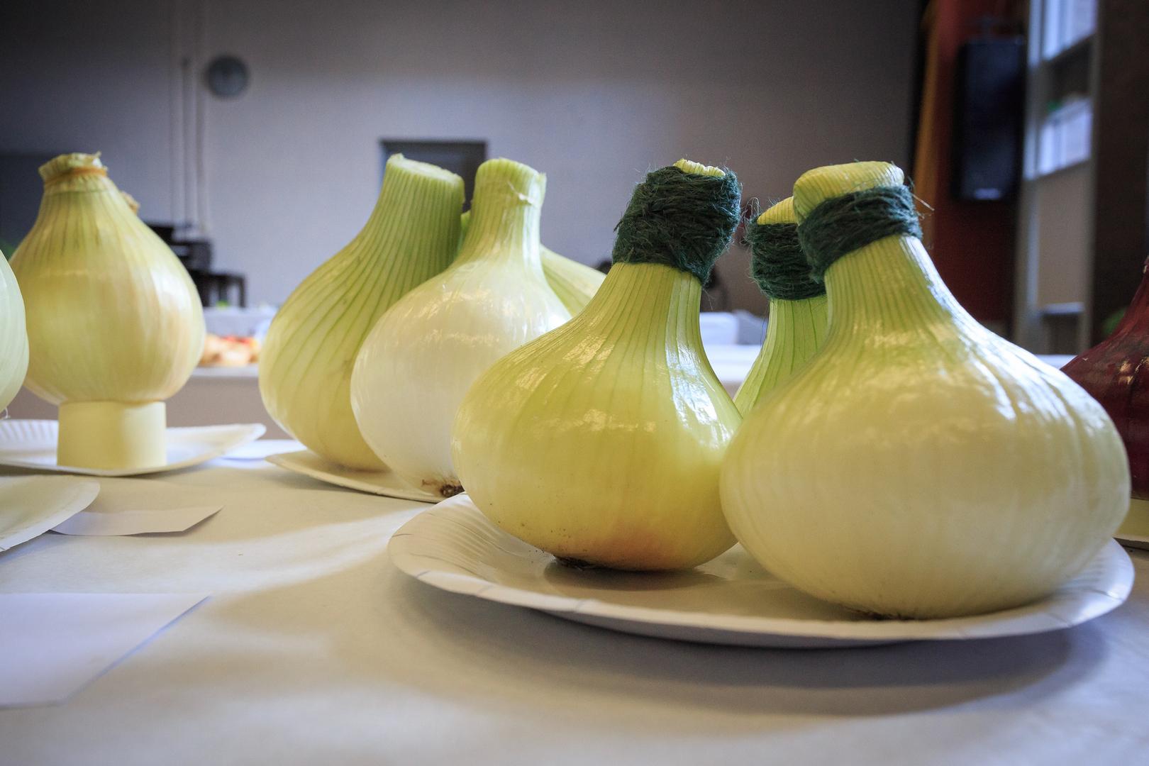 Competitors and judges at the WHAA annual produce show